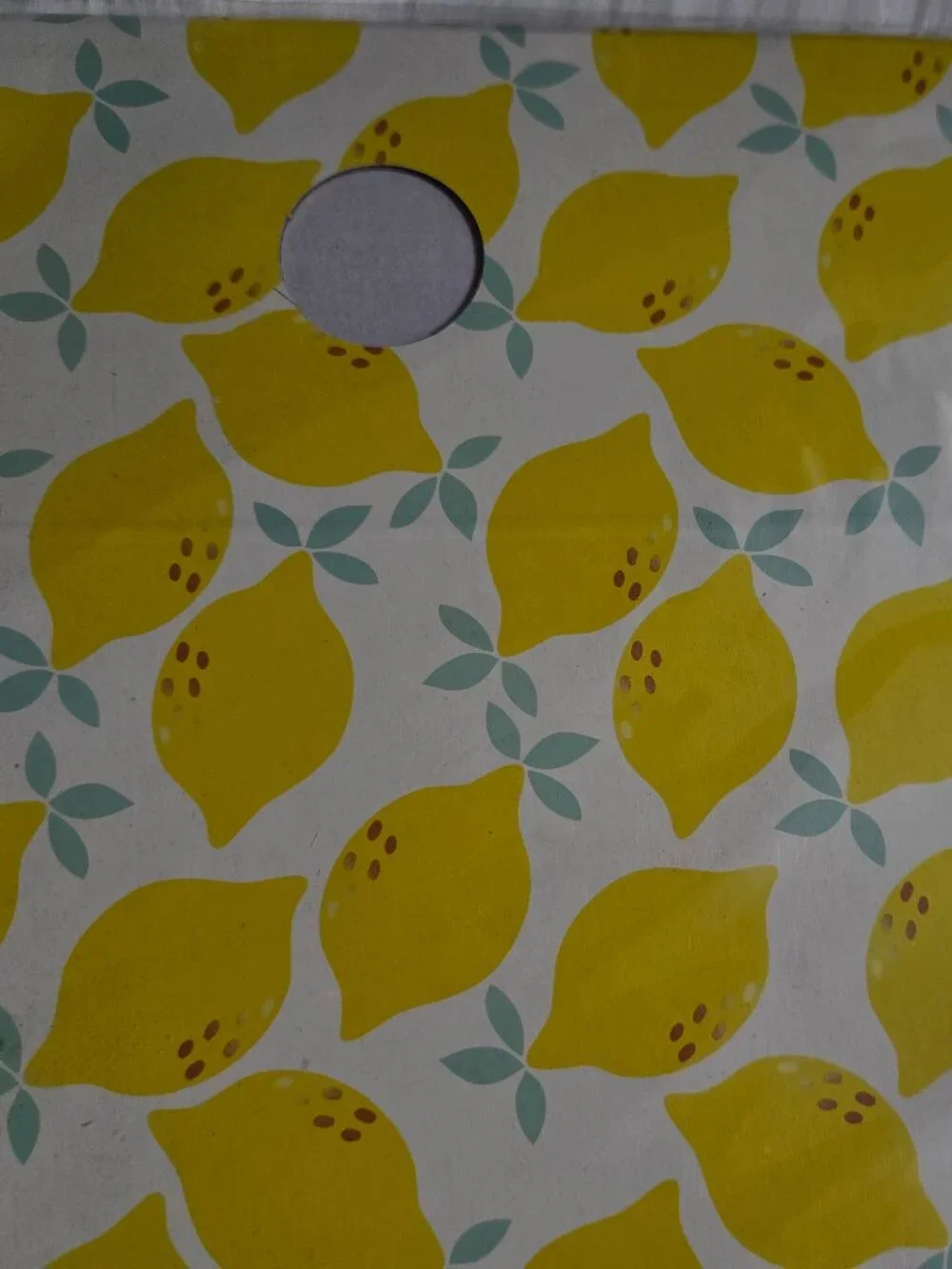 Jot Lemon Print Corrugated File Holder